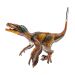 Velociraptor real dino