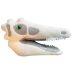 Velociraptor skull plush