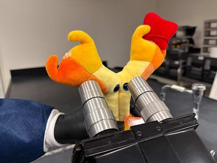 Antibody plush using microscope