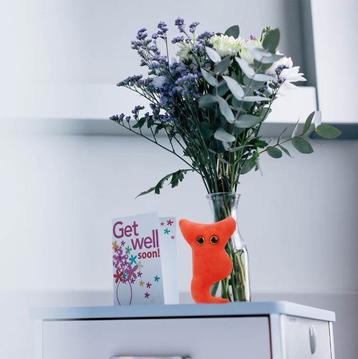Appendix plush get well gift