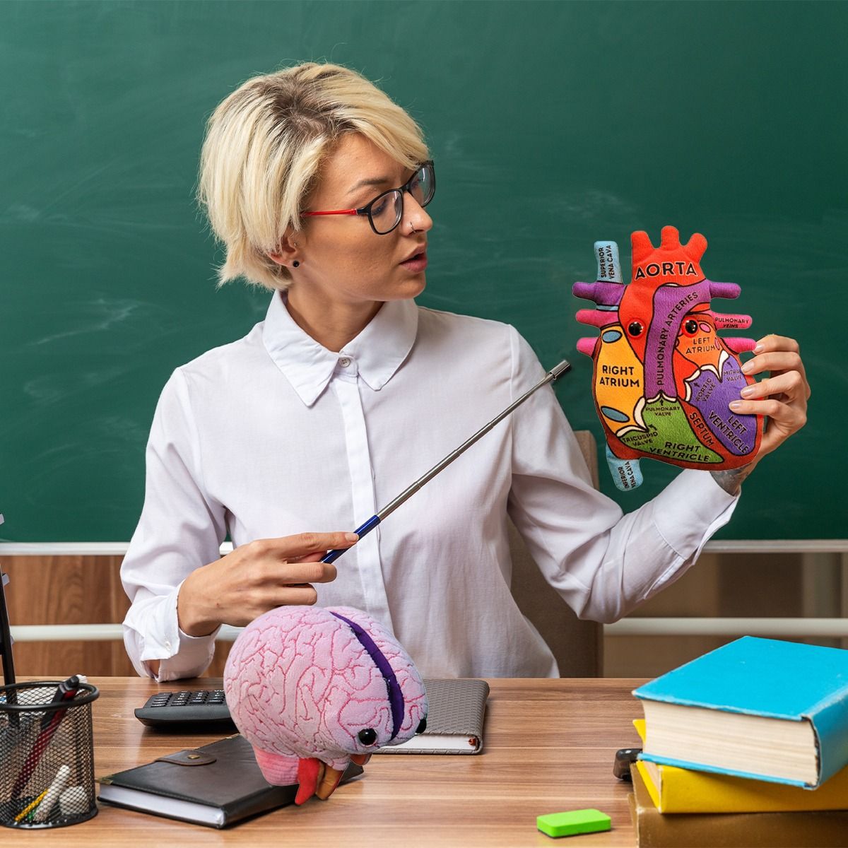 Teacher holding Heart and Brain models