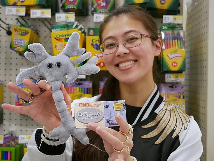 Brain Cell neuron back to school
