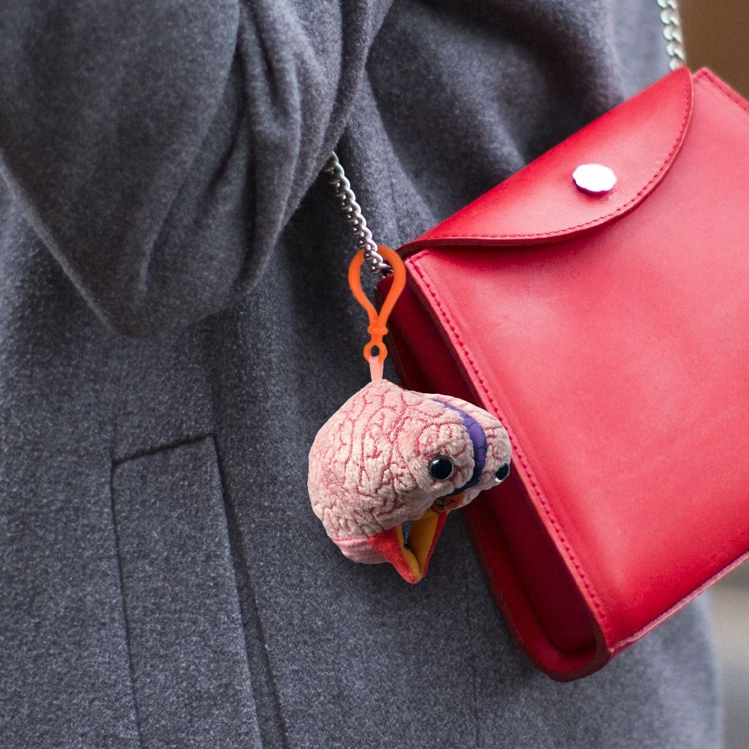 Brain Model key chain on bag