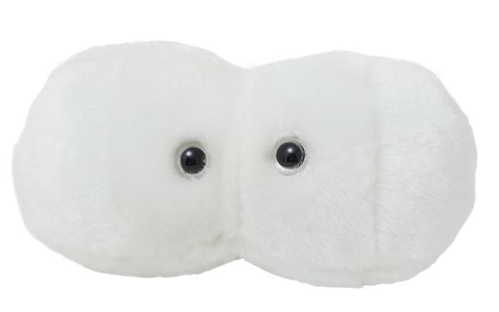 Cavity plush hi-res