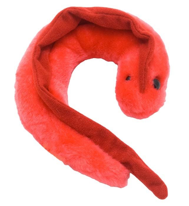Chagas plush hi-res