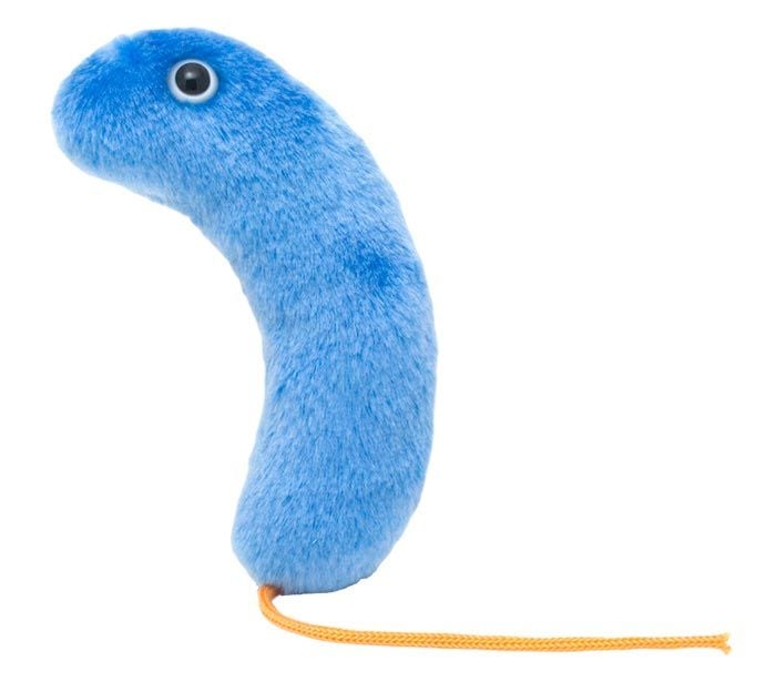 Cholera plush hi-res