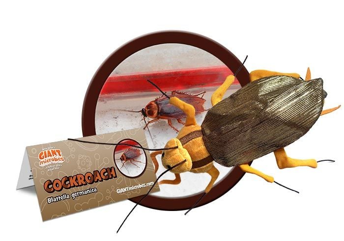 Cockroach plush cluster