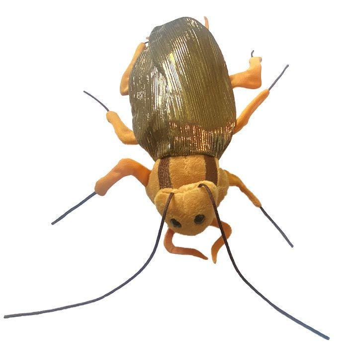 Cockroach plush front new