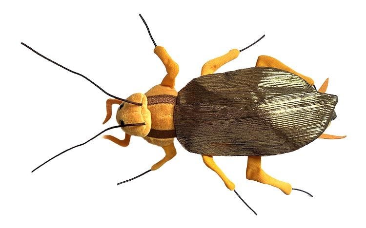 Cockroach plush doll