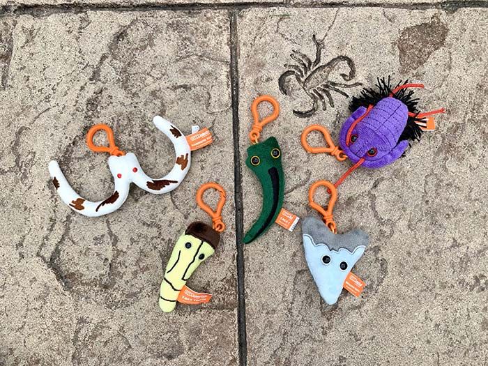 Dinosaur Fossils minis outside