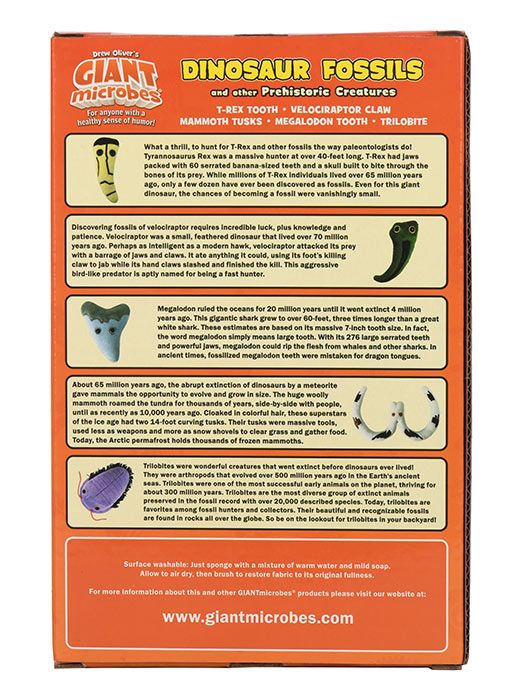 Dinosaur Fossils box back