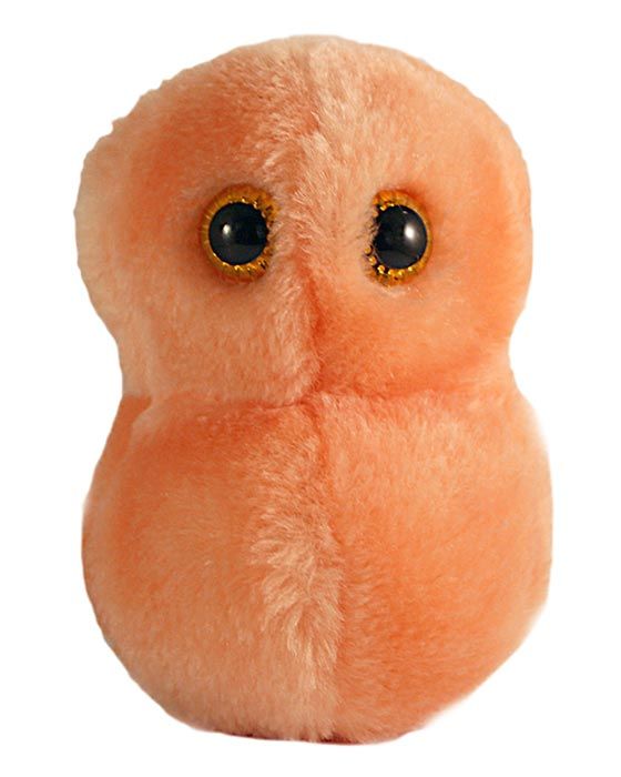 Ear Ache plush hi-res