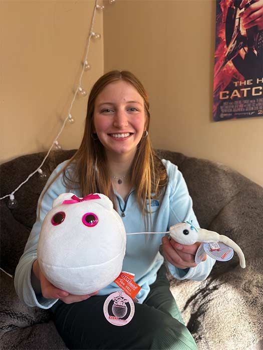 Egg Cell and Sperm with model