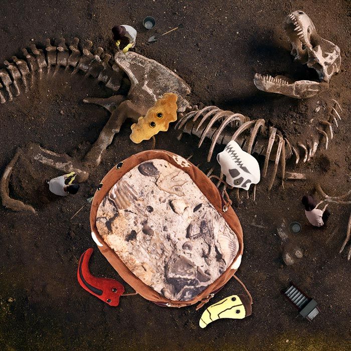 T. rex Fossil Dig real fossil