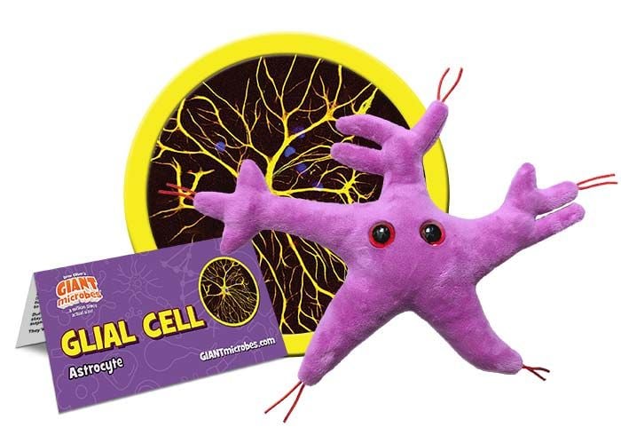 Glial Cell cluster
