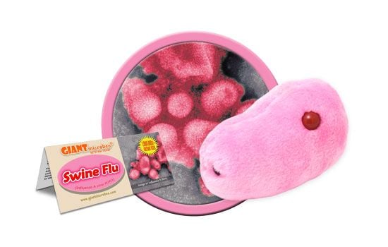 Swine Flu cluster