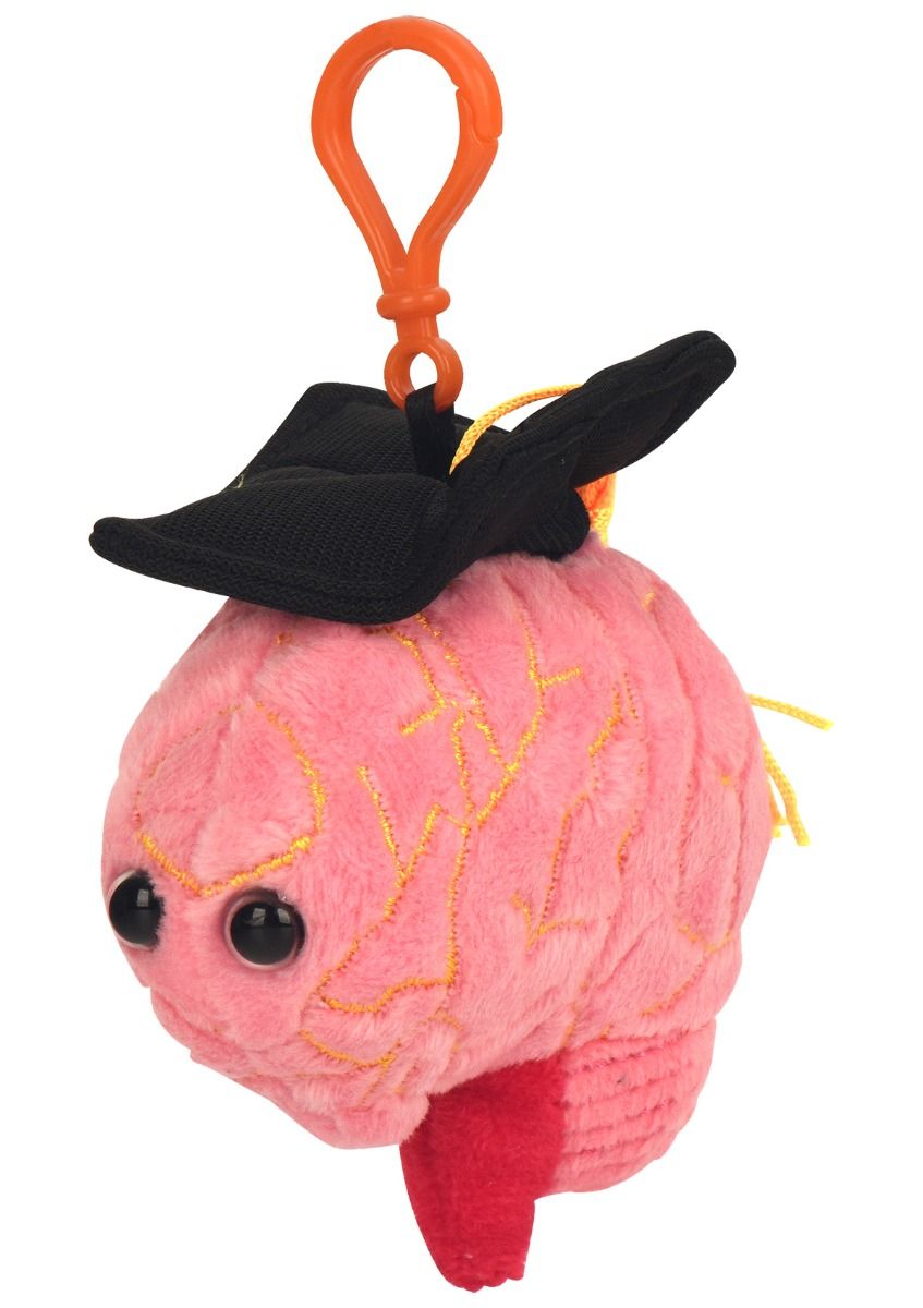 Graduation Brain key chain angle