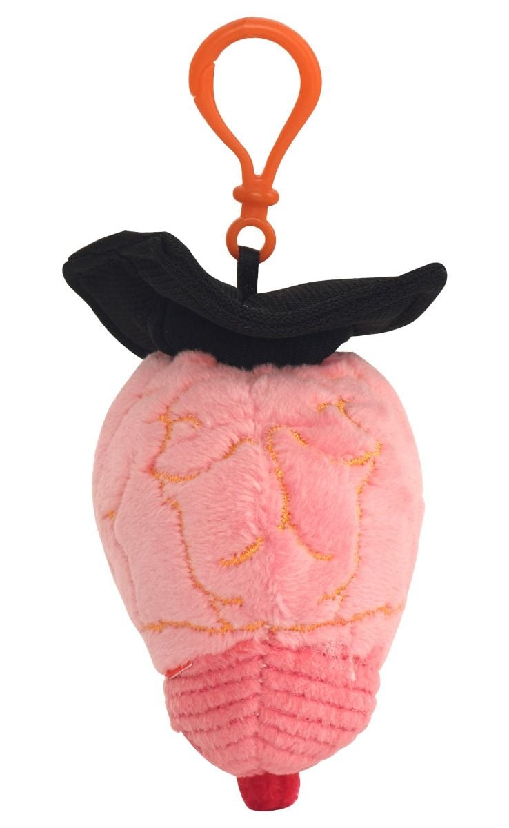 Graduation Brain key chain back