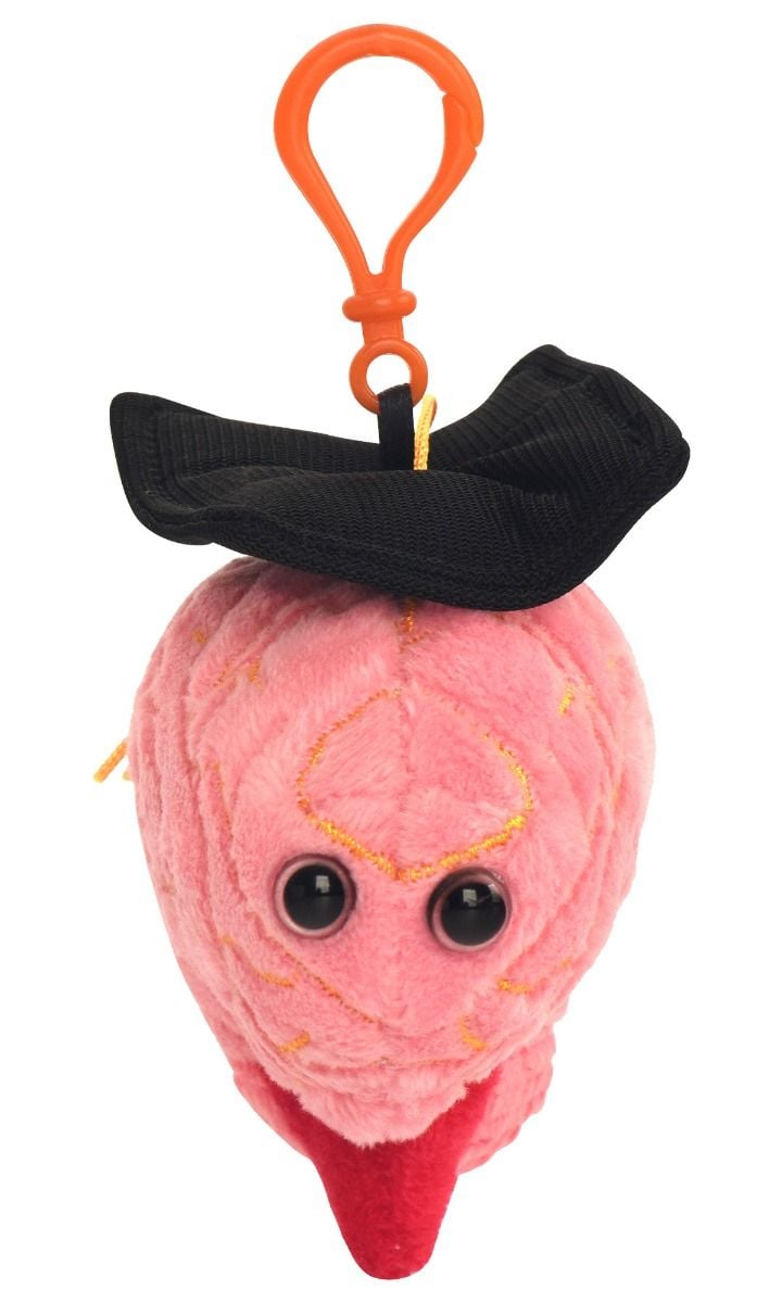 Graduation Brain key chain front