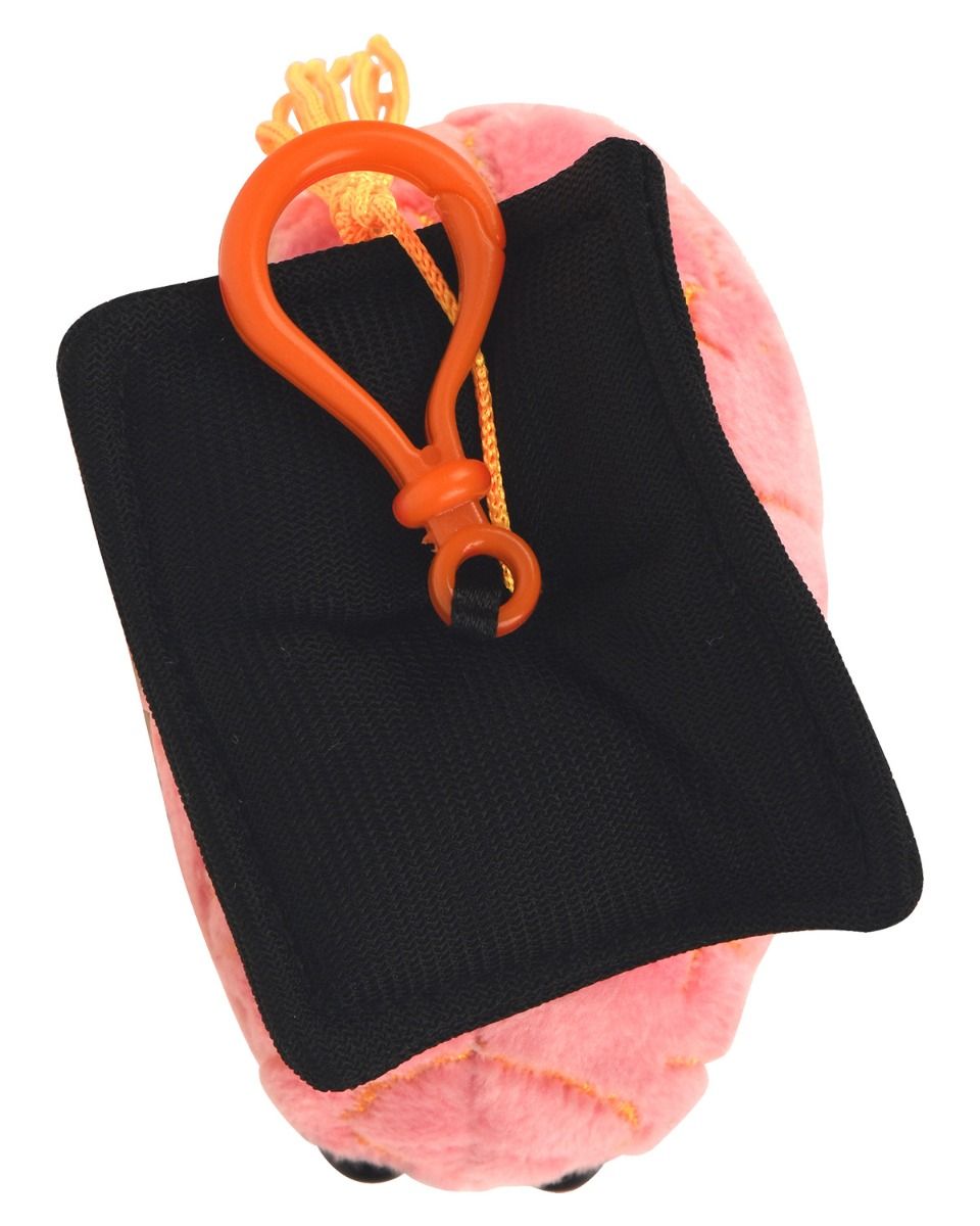 Graduation Brain key chain top