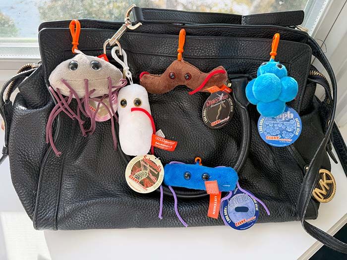 Gut Check mini key chains on bag