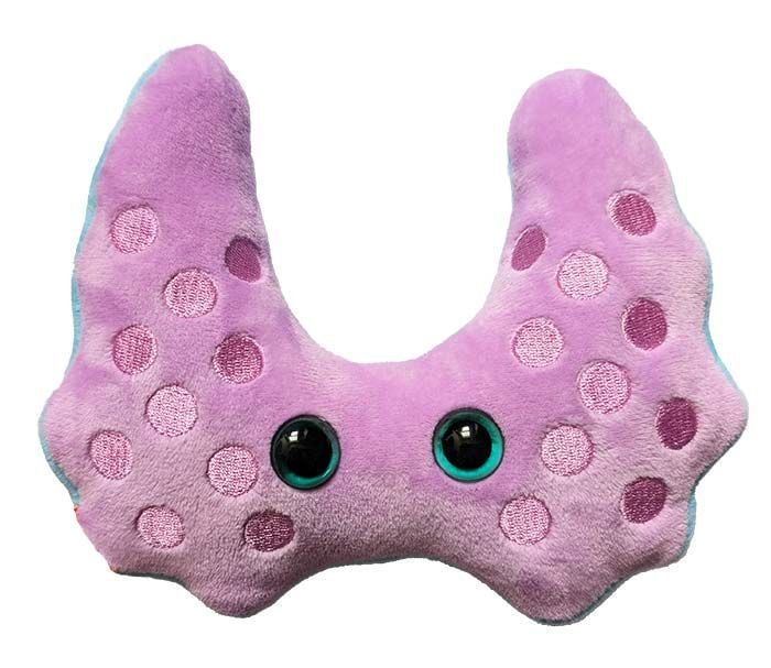 Hashimoto's plush back