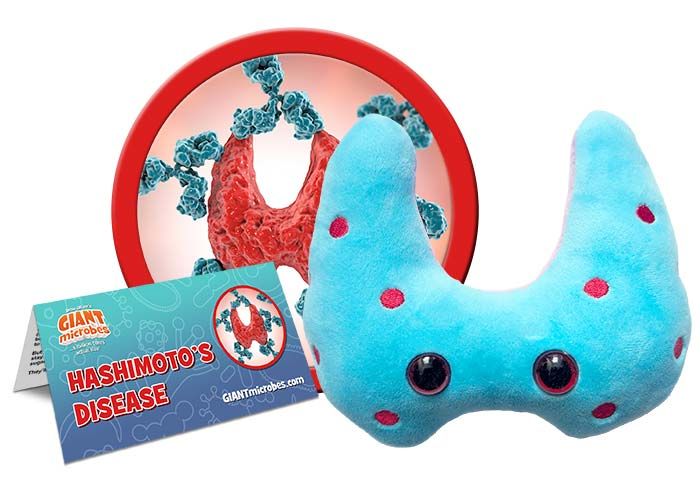 Hashimoto's plush cluster