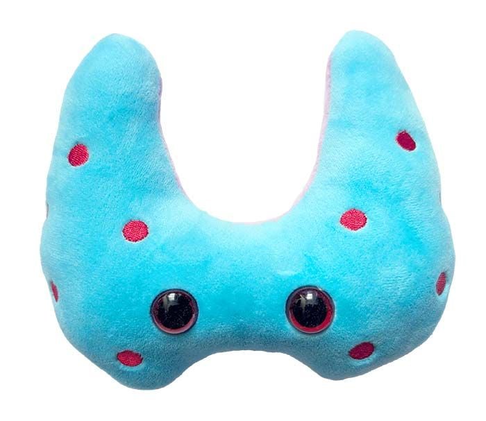 Hashimoto's plush front