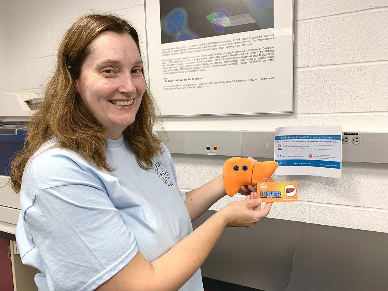 Liver plush at hospital