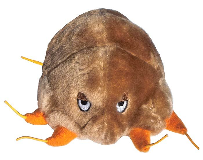 Mange plush hi-res