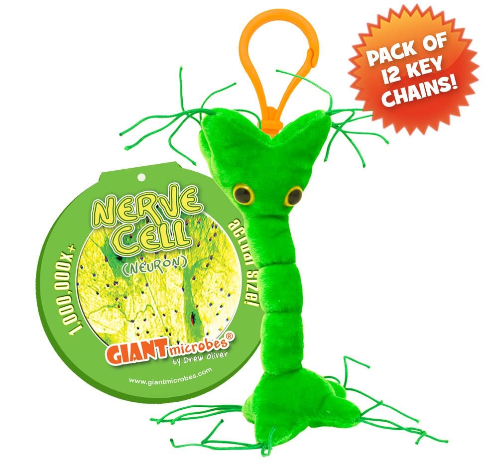 Nerve Cell KC pack