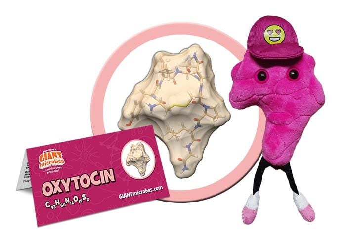 Oxytocin plush cluster