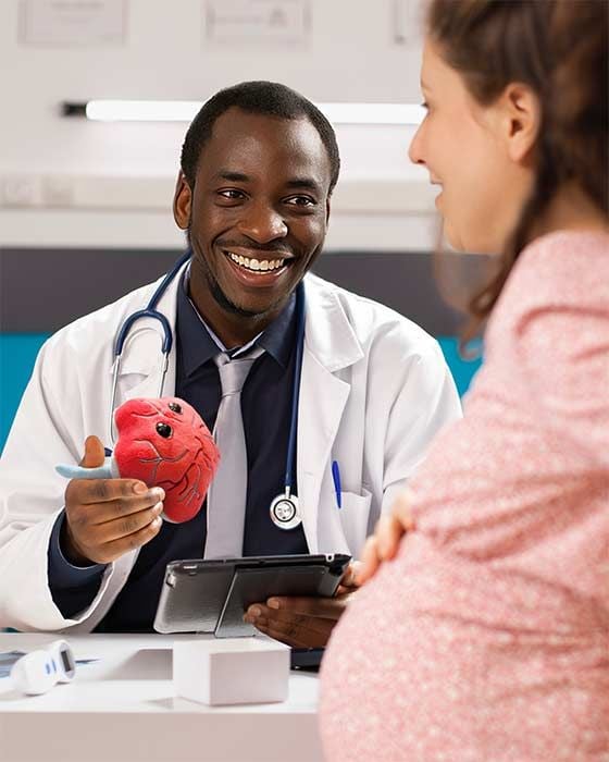 Placenta plush with pregnant woman and doctor