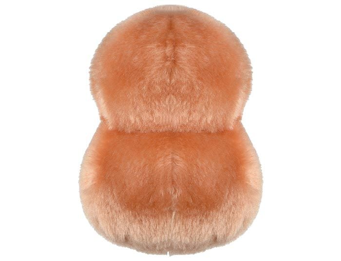 Pneumonia plush back