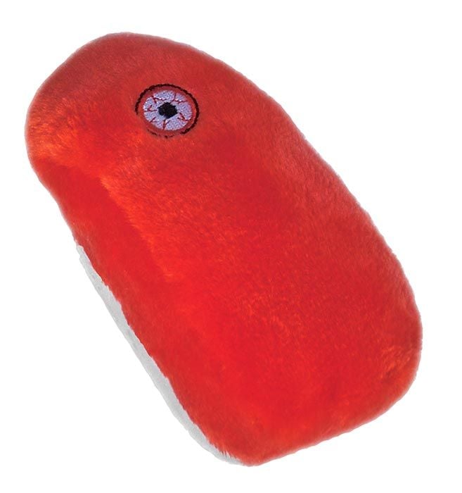 Rabies plush doll