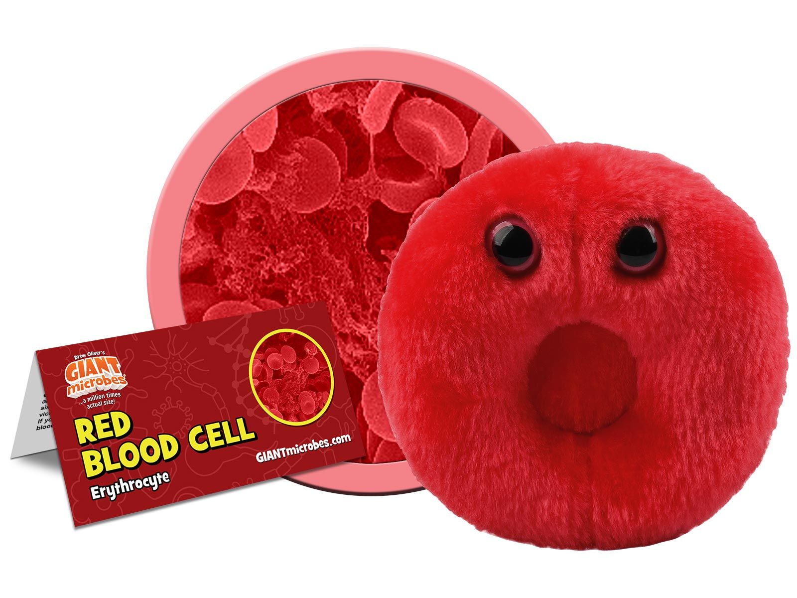 Red Blood Cell cluster 1200px