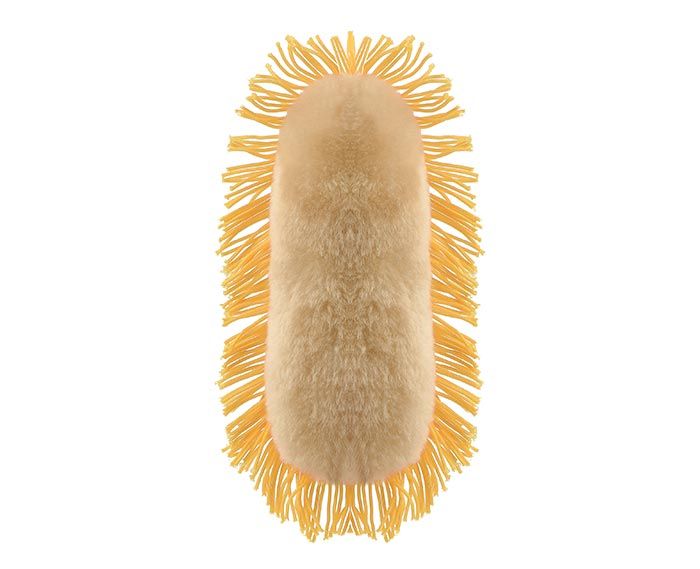 Stomach Ache plush back