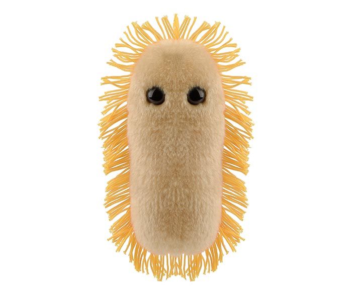Stomach Ache plush front