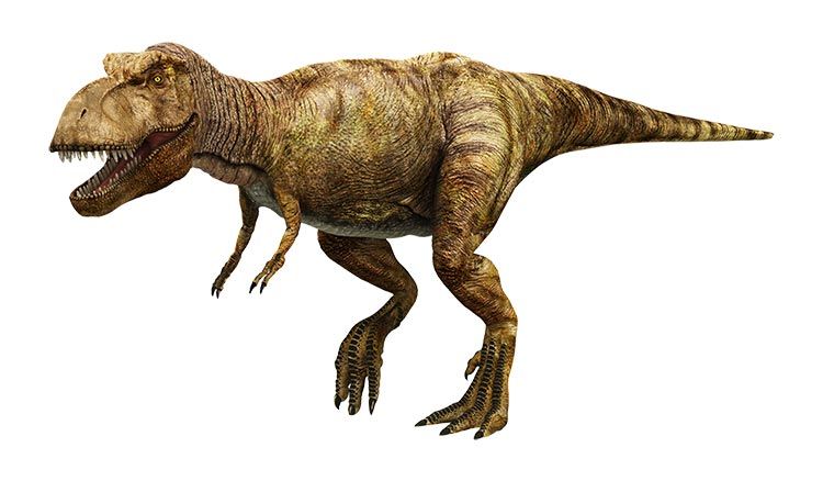 T. rex real dino