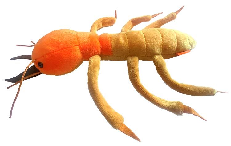 Termite plush top new