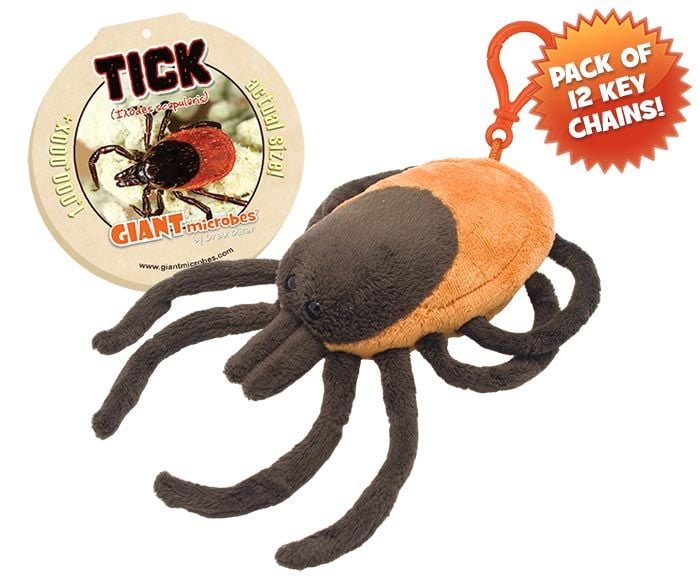 Tick key chain 12 pack new