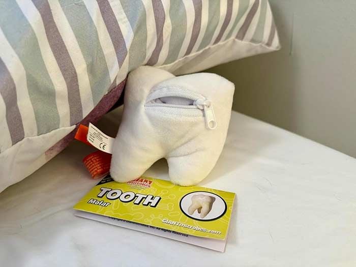 Tooth plush back on pillow