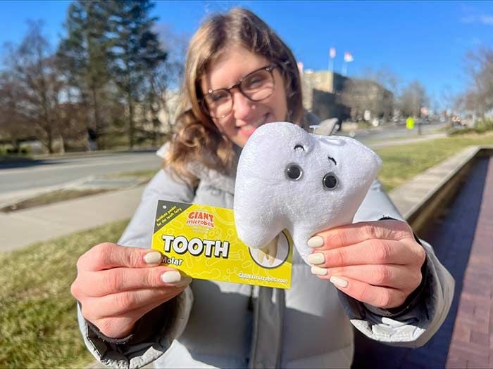 Model holding Tooth plush