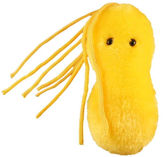 Ulcer plush doll