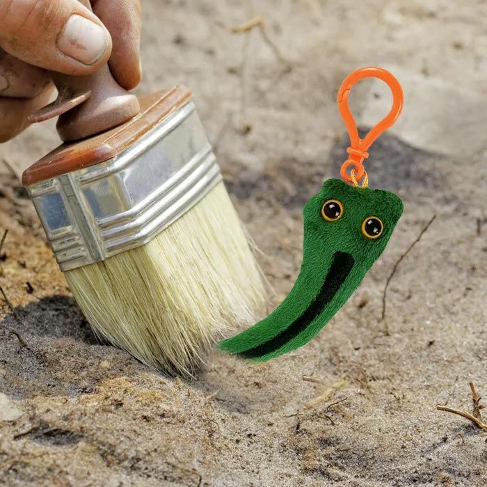 Velociraptor claw key chain brush