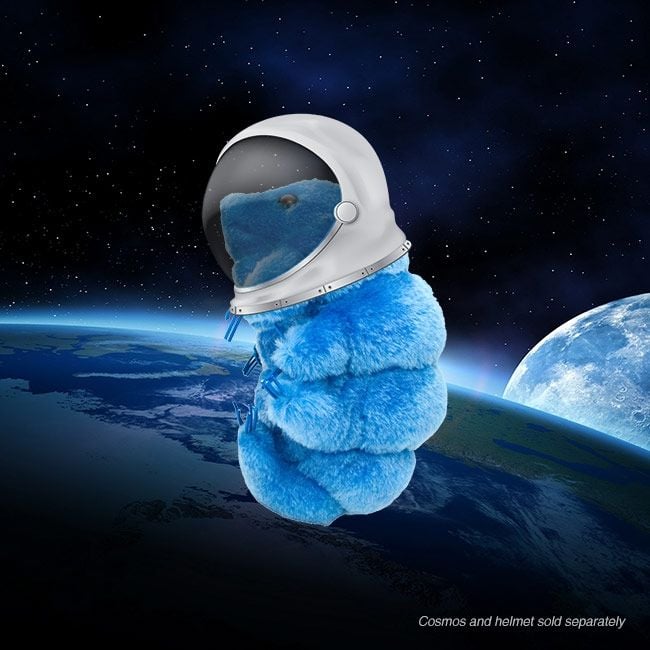 Waterbear in space