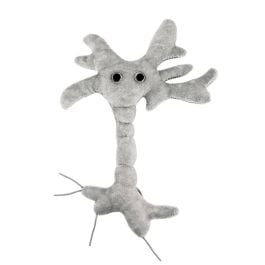 New Toy Graduation Brain Cell Giant Microbes Plush 