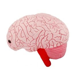 Mini plush organs on sale