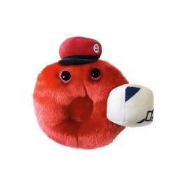 Cells at work, red blood cell