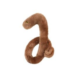 Ebola Ebola Virus